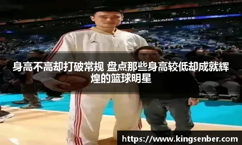 OB视讯