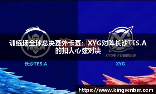 OB视讯官网